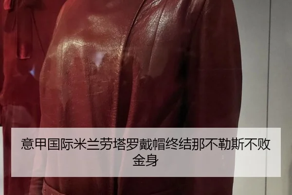 yi-jia-guo-ji-mi-lan-lao-ta-luo-dai-mao-zhong-jie-na-bu-le-si-bu-bai-jin-shen-3-291.jpg
