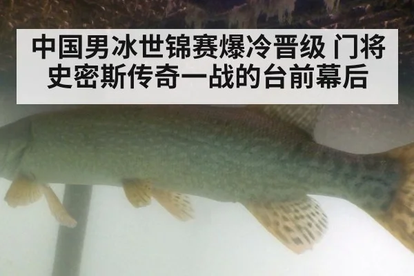 中国男冰世锦赛爆冷晋级 门将史密斯传奇一战的台前幕后