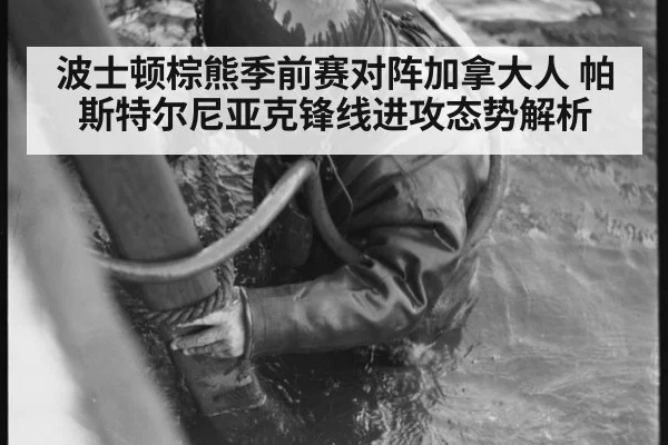 波士顿棕熊季前赛对阵加拿大人 帕斯特尔尼亚克锋线进攻态势解析